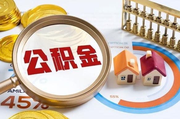 红河个人提取公积金办法（提取个人公积金的方法）