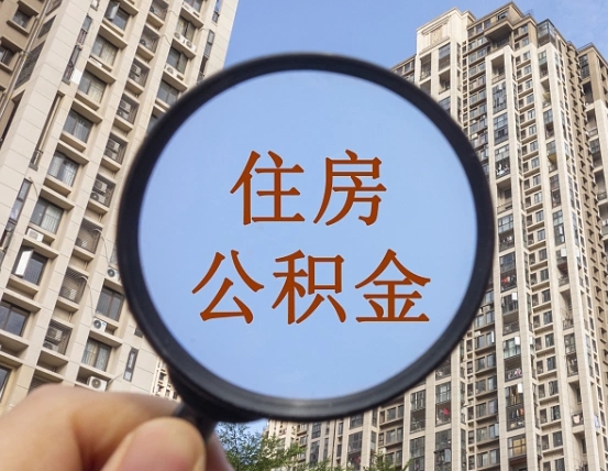 红河退休后查不到公积金明细了吗（退休后公积金查询不到原因）